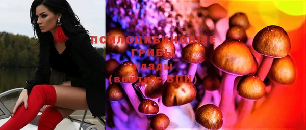 метадон Белокуриха