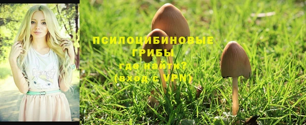соль курить ск Белоозёрский