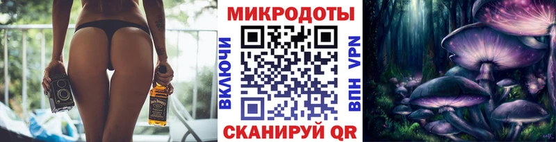 Псилоцибиновые грибы Psilocybe  Нолинск 