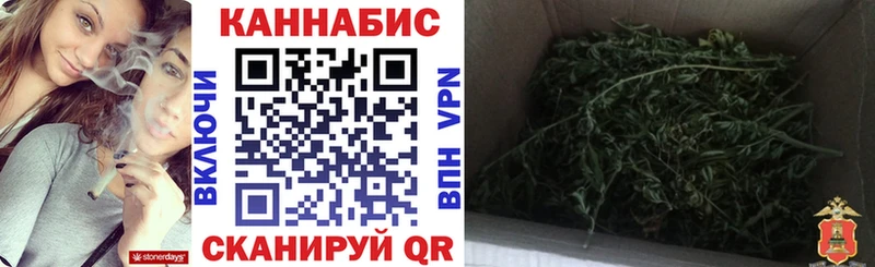 где купить наркотик  Нолинск  Шишки марихуана Bruce Banner 